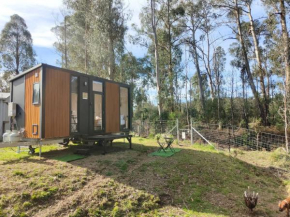 Tiny Retreat by the River by Tiny Away
